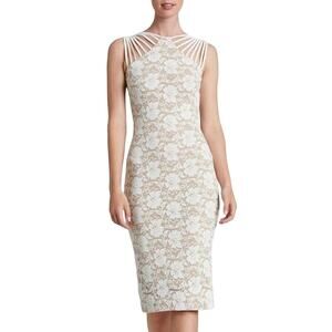dress the population wren dress Wren Dress
